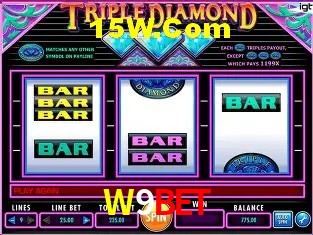 Sistemas de Segurança W9Bet